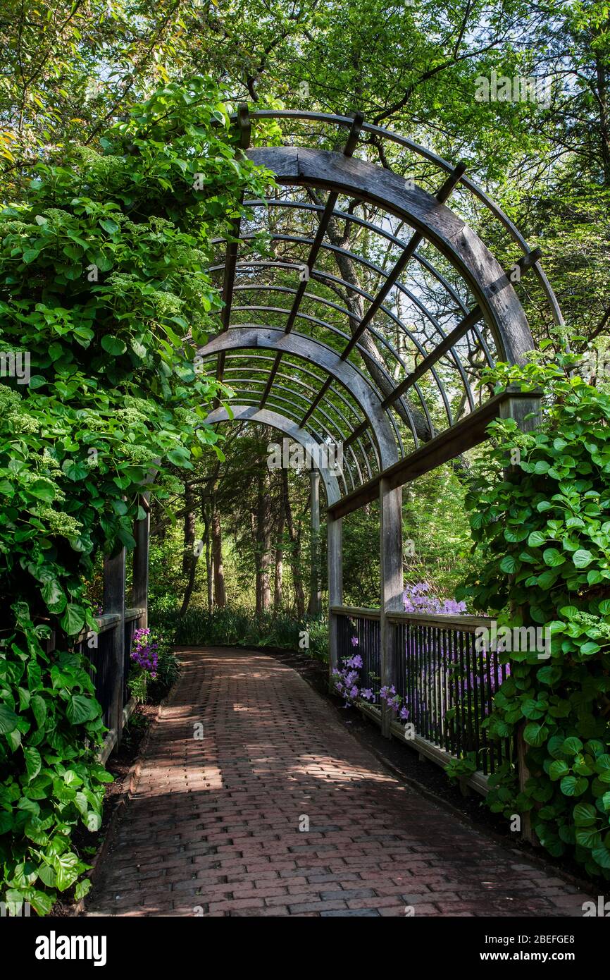 English Arbor in Sayen Garden, Mercer County, New Jersey, USA, formal Botanical gardens arch US design Stock Photo