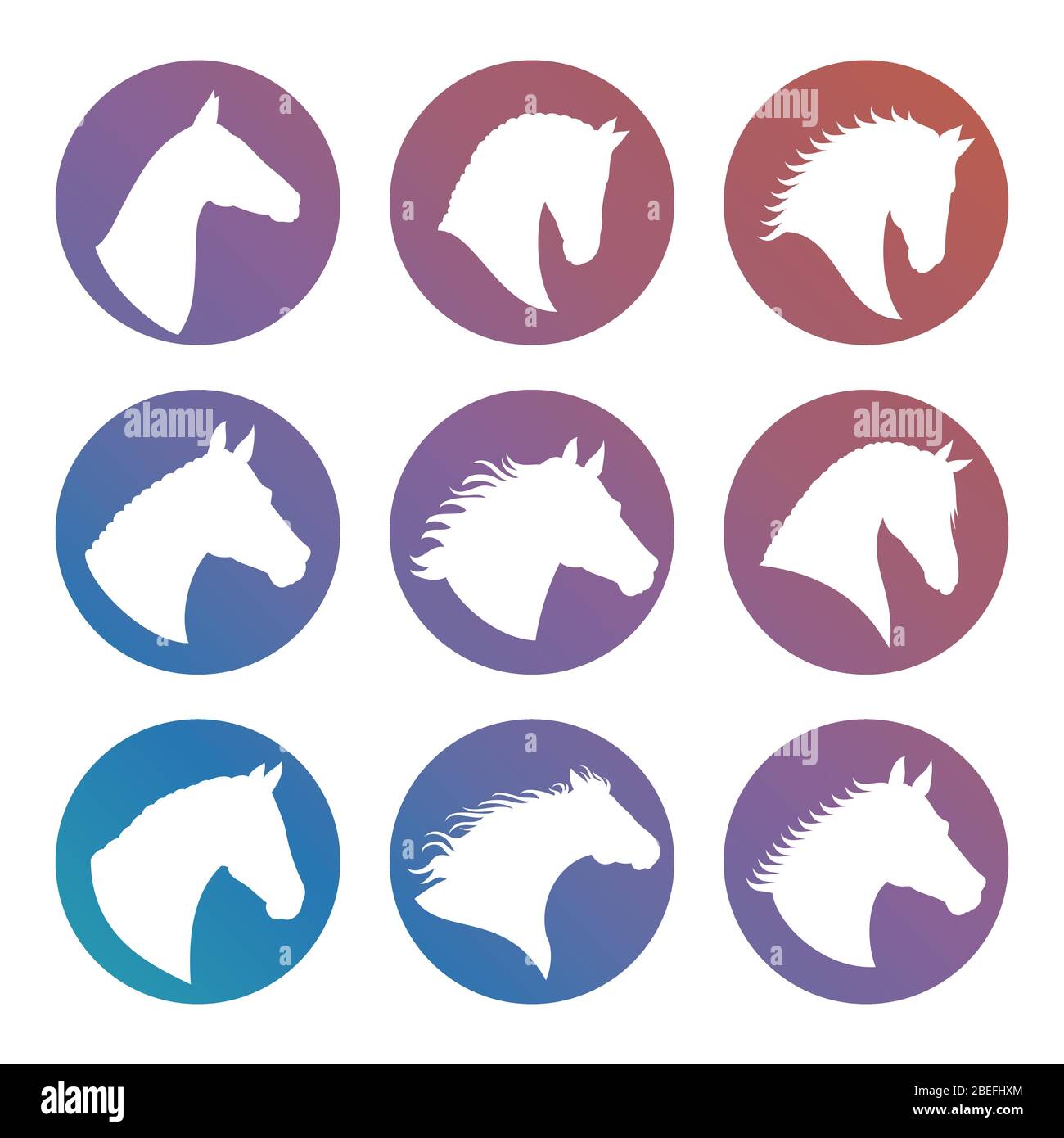 Horse heads white silhouettes in round icons set. Vector illustration Stock Vector