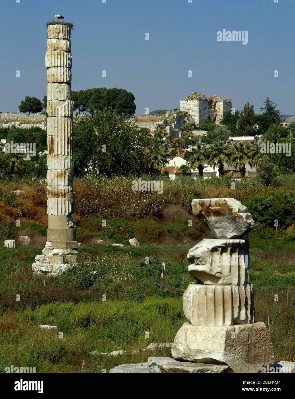 Temple of Artemis or Artemision Stock Photo - Alamy