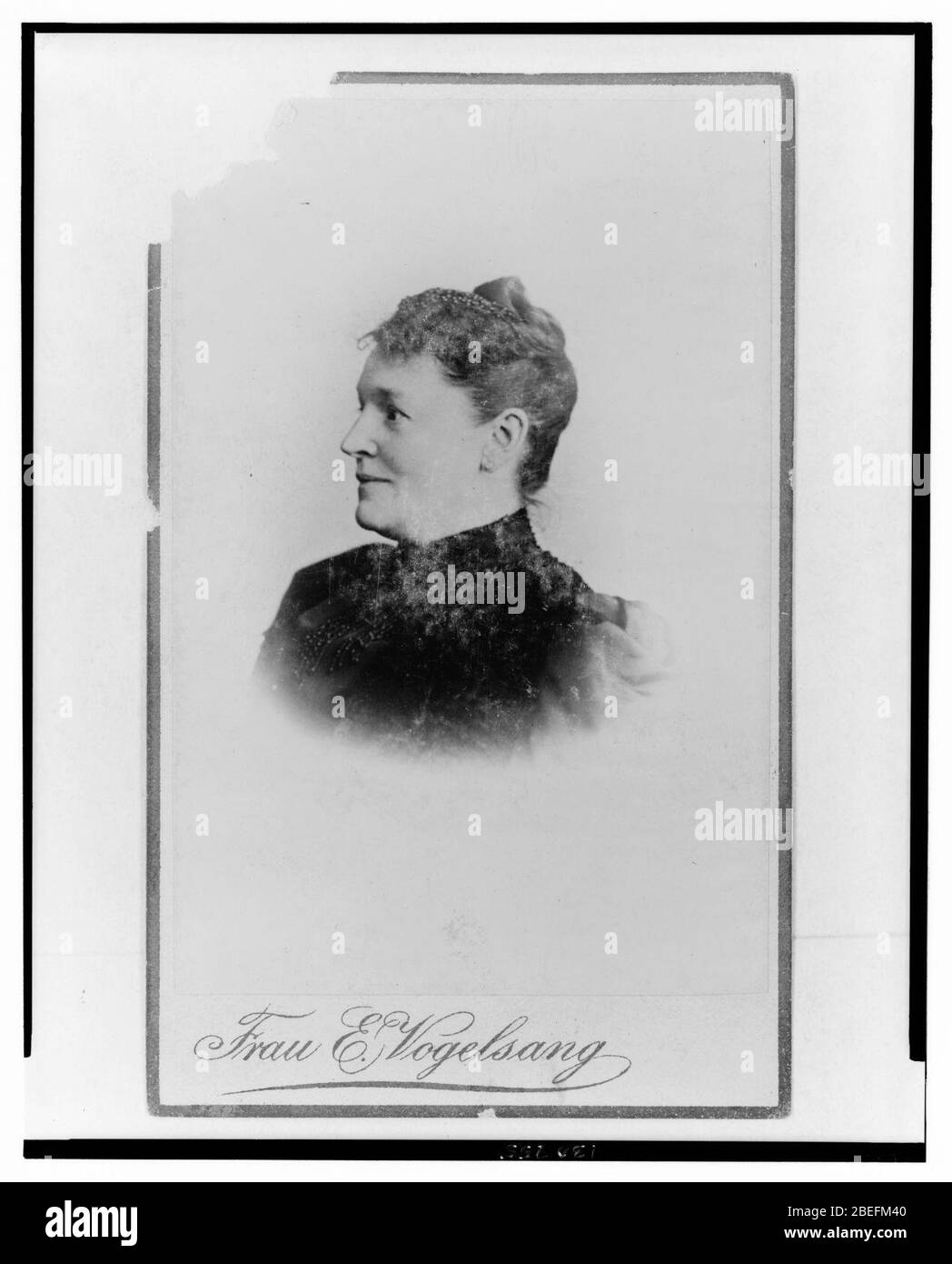 Hedwig Heyl, German home economics authority, head-and-shoulders portrait, facing left) - Frau E. Vogelsang Stock Photo