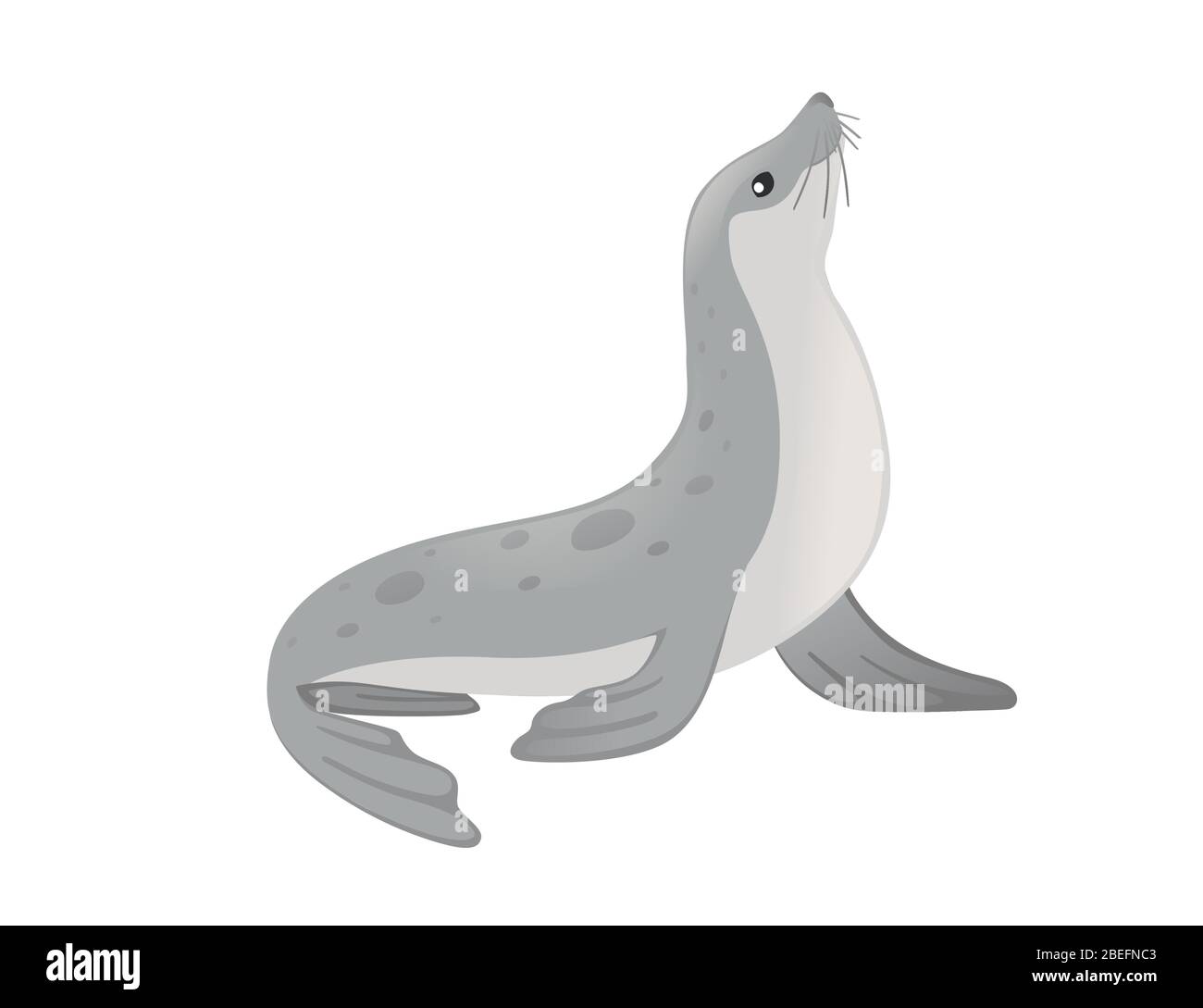 Cute seal hi-res stock photography and images - Alamy Cute seal hi-res stock photography and images - Alamy