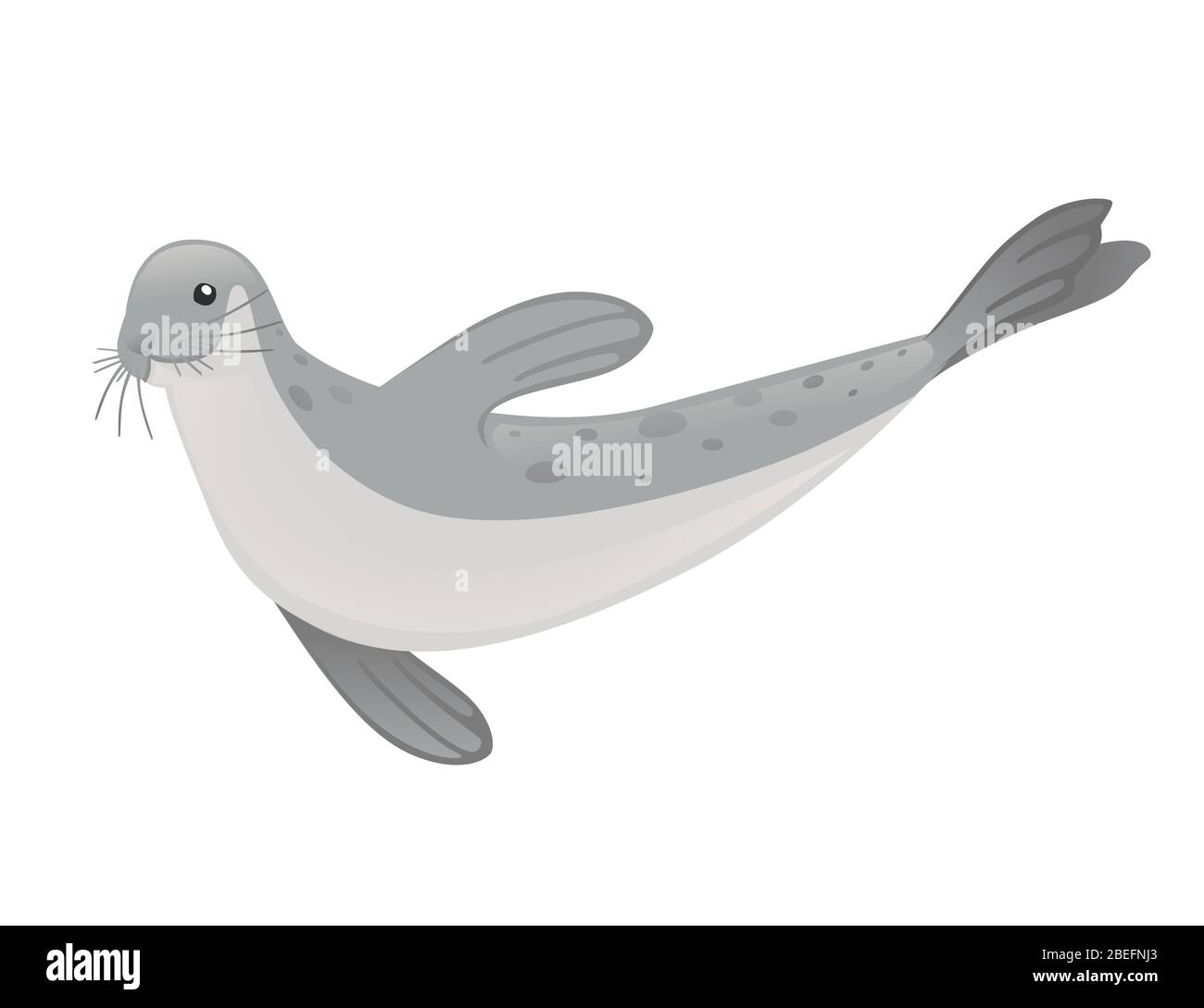 Cute seal cartoon animal design flat vector illustration isolated on
