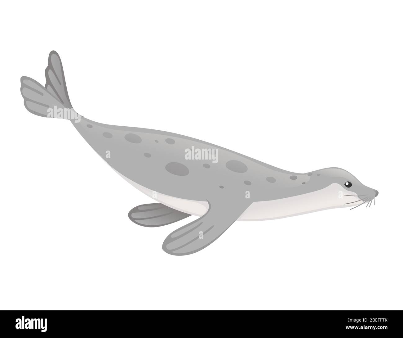 Cute seal cartoon animal design flat vector illustration isolated on white  background Stock Vector Image & Art - Alamy