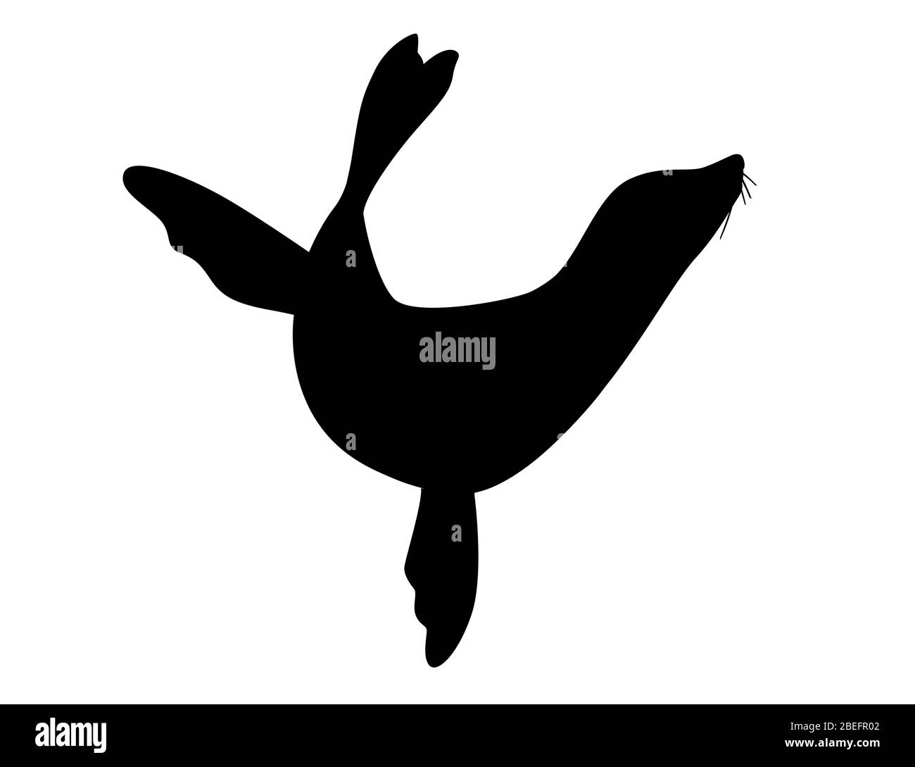 Black silhouette cute seal cartoon animal design flat vector