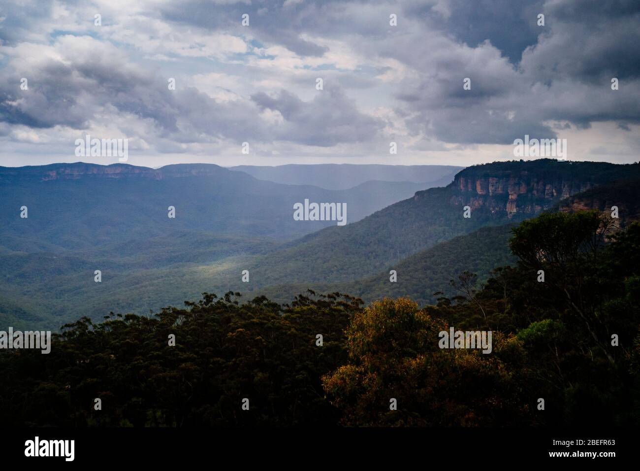 Light rays bursting through clouds on canopy of eucalyptus trees in the Blue Mountains at Wentworth Falls, New South Wales, Australia Stock Photo