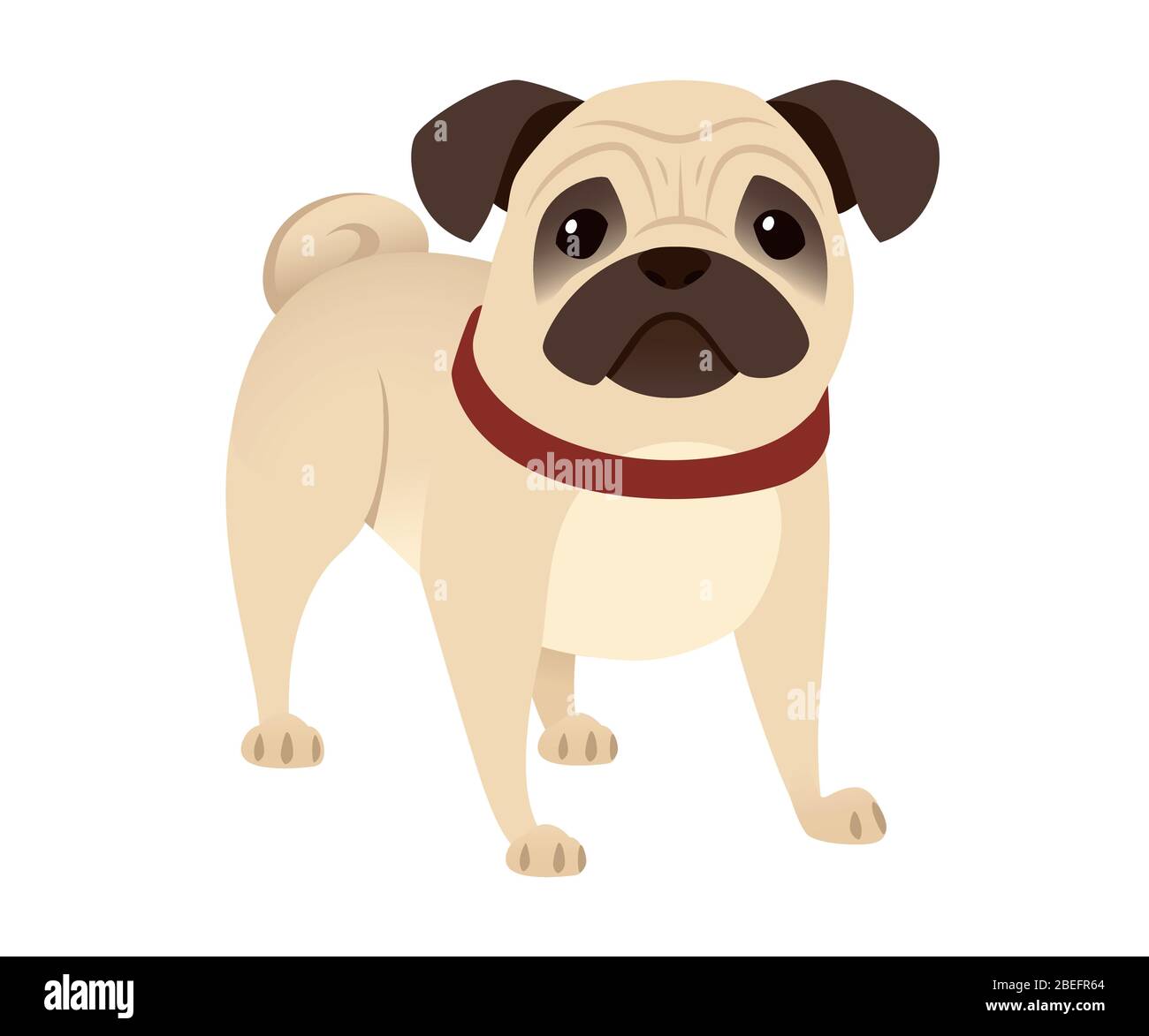 Cute small friendly pug dog cartoon domestic animal design flat vector illustration isolated on white background Stock Vector