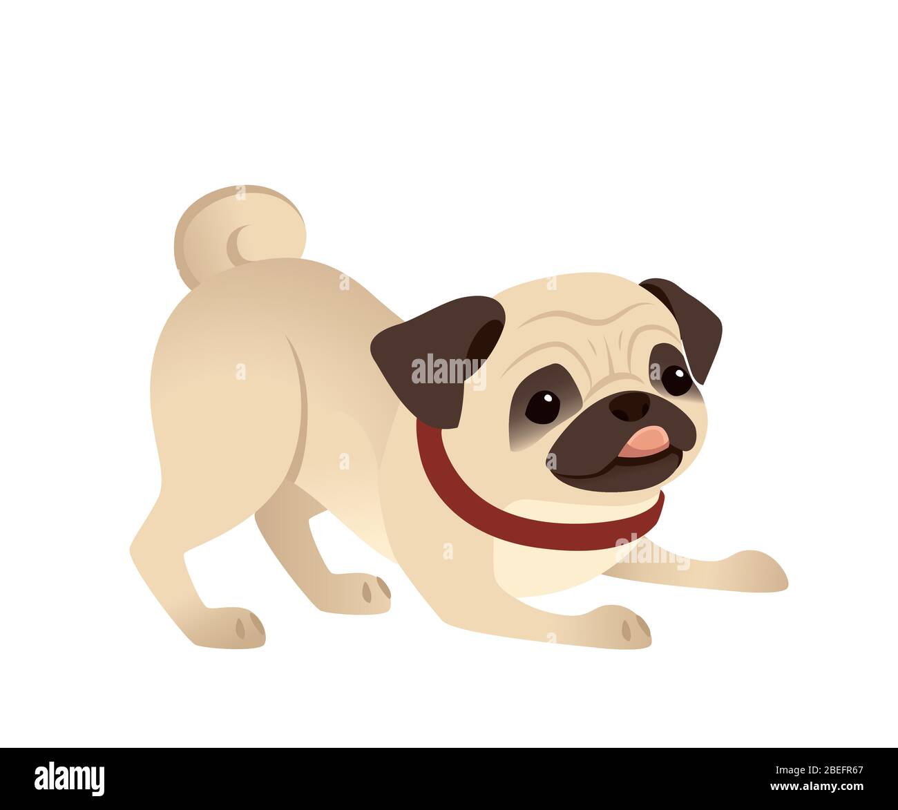 Cute small friendly pug dog cartoon domestic animal design flat vector illustration isolated on white background Stock Vector