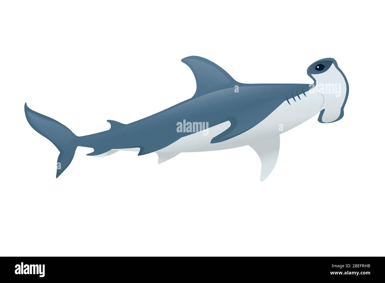 Hammerhead shark underwater giant animal simple cartoon character design flat vector illustration isolated on white background Stock Vector