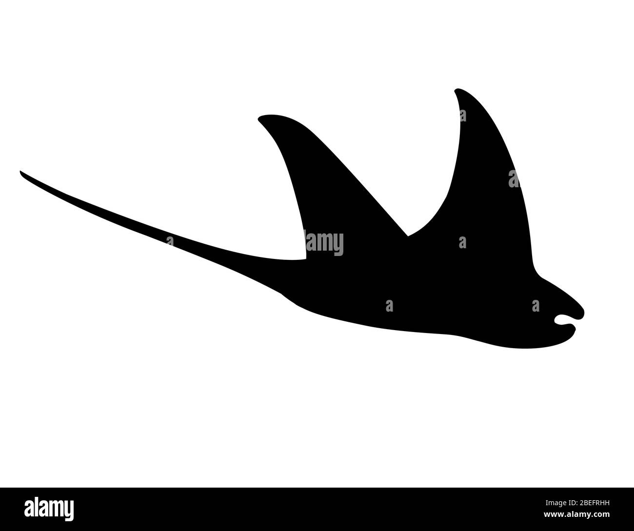 Black silhouette manta ray underwater giant animal with wings simple character design flat vector illustration isolated on white background Stock Vector