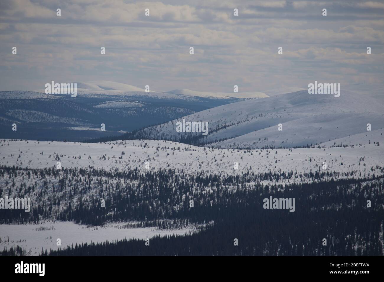 Scene from Pallas-Ylläs tunturi National Park, Muonio, Finland Stock Photo