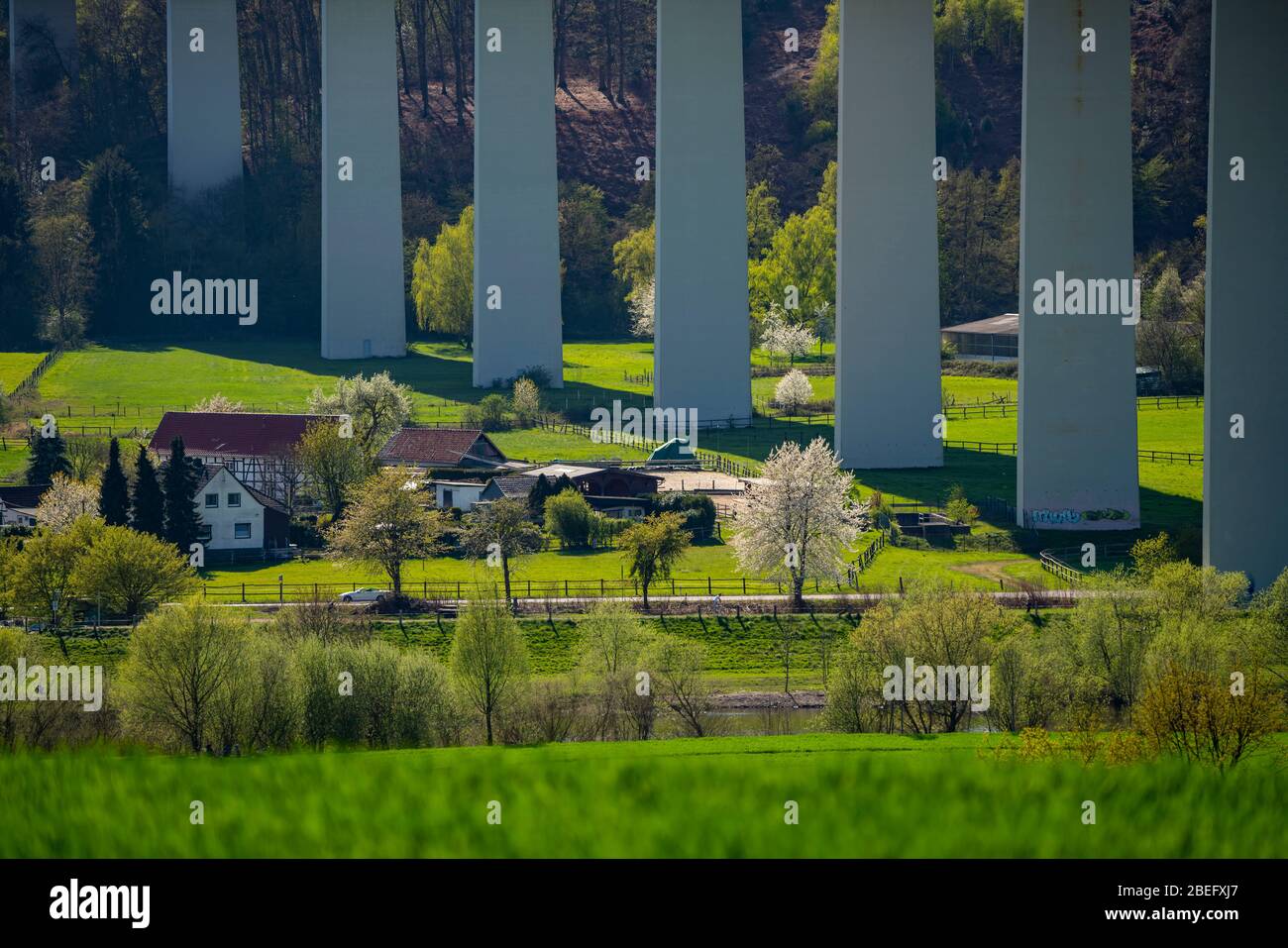 Landscape near MŸlheim an der Ruhr, district of Mintard, fields in spring, Ruhr dyke, Ruhr valley bridge, Germany, Stock Photo