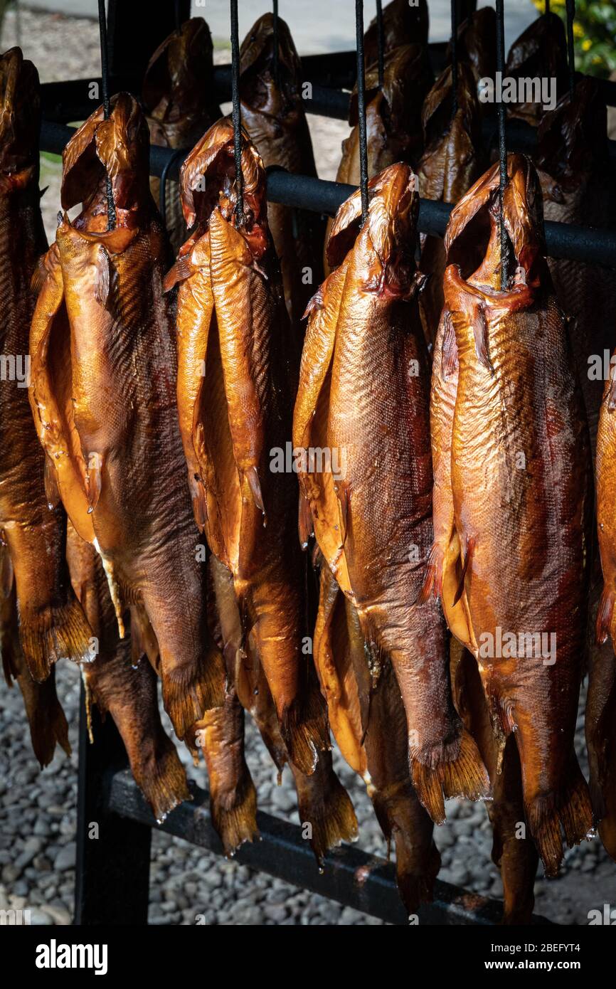 Golden trout fish hi-res stock photography and images - Page 2 - Alamy