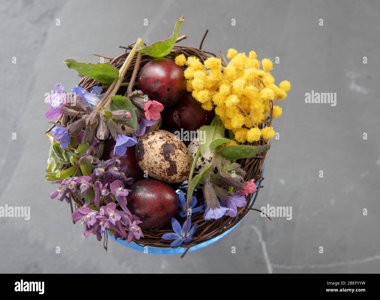 A blue glass bowl filled with colored quail eggs and spring flowers ...
