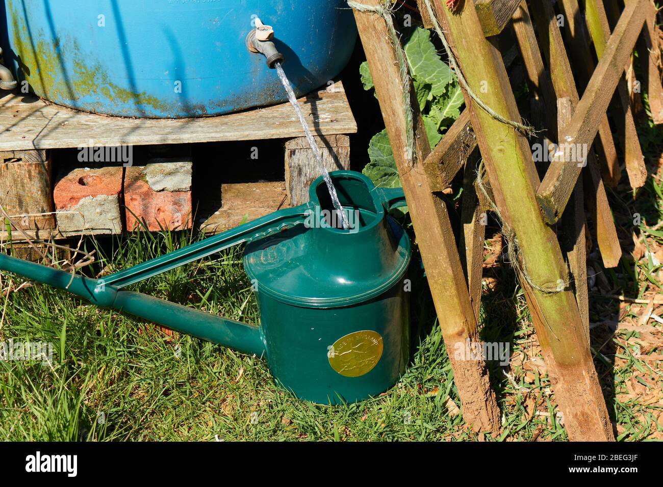 Filling watering can hi-res stock photography and images - Alamy