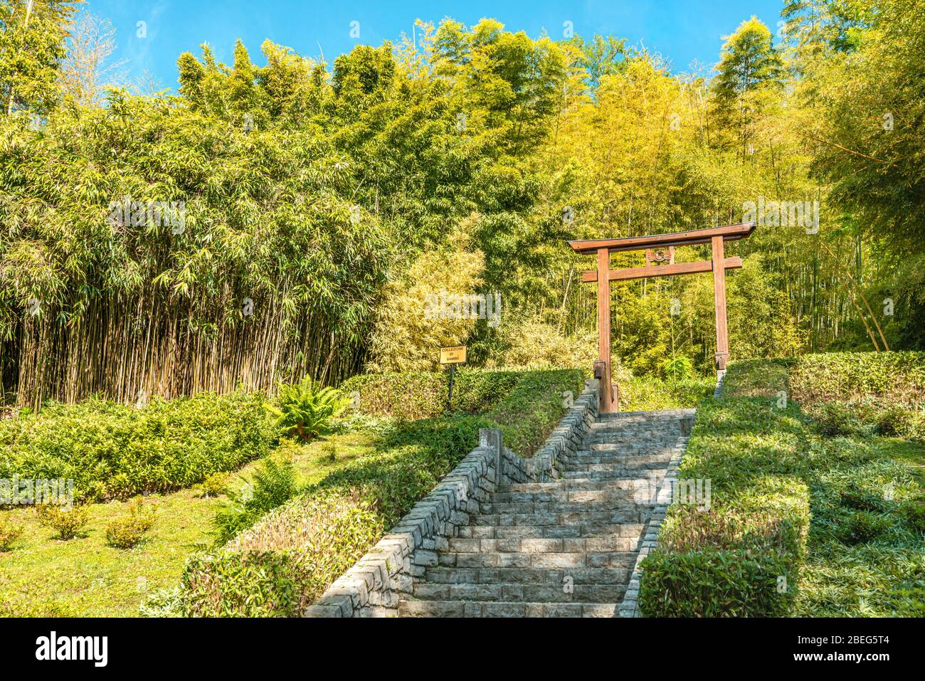 Torii Gate at Bamboo Garden in the Botanical Garden of Villa Carlotta, Tremezzina, Lake Como, Lombardy, Italy | Torii Tor im Bambus Garten des Botanis Stock Photo