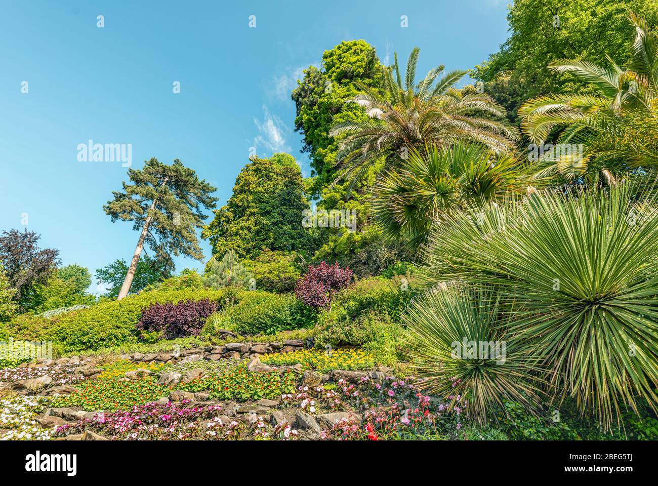 Giardino Vecchio at the Botanical Garden of Villa Carlotta, Tremezzina, Lake Como, Lombardy, Italy | Giardino Vecchio im Botanischen Garten der Villa Stock Photo