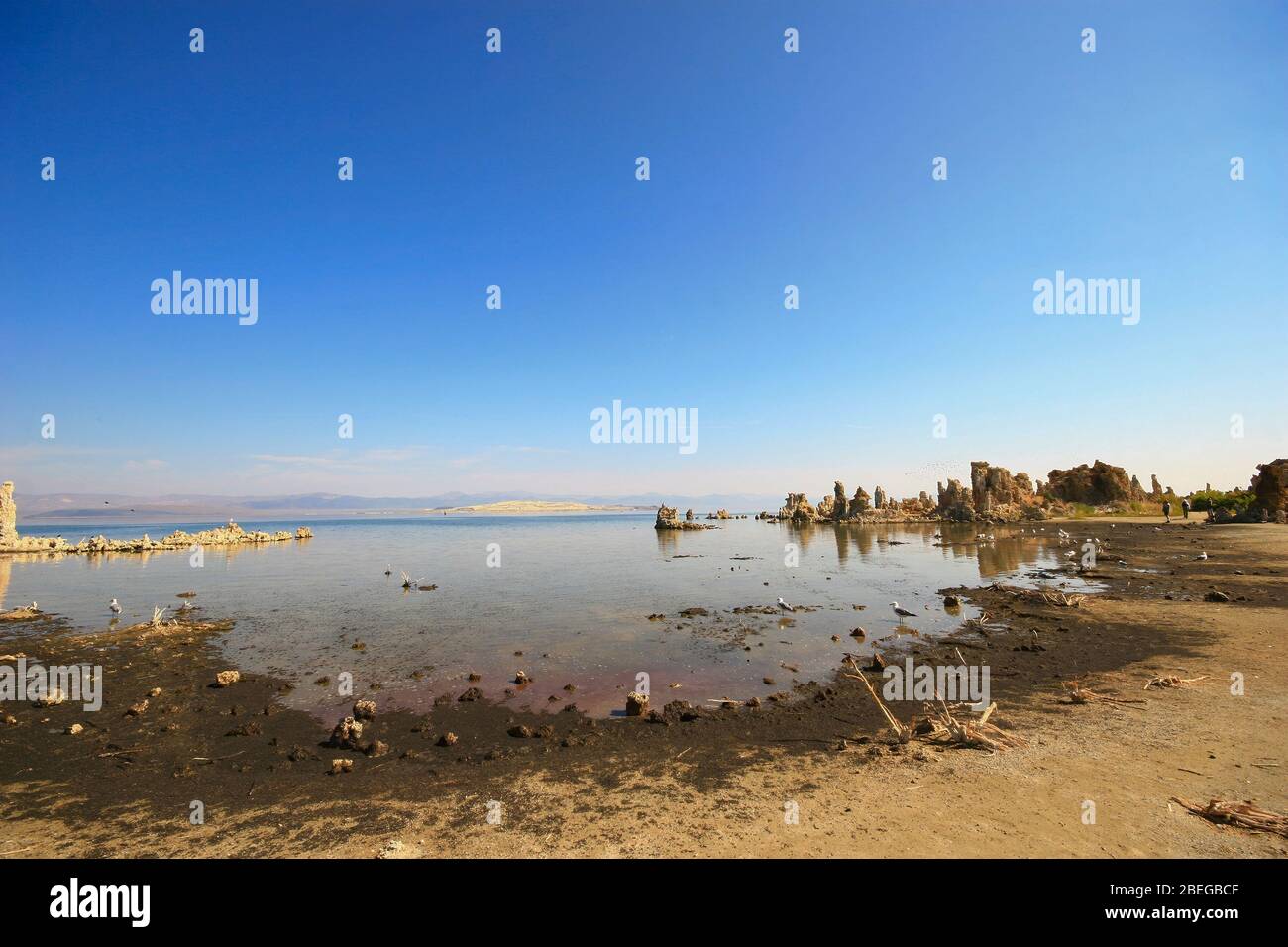 Sunny view of the famous Mono Lake at California Stock Photo