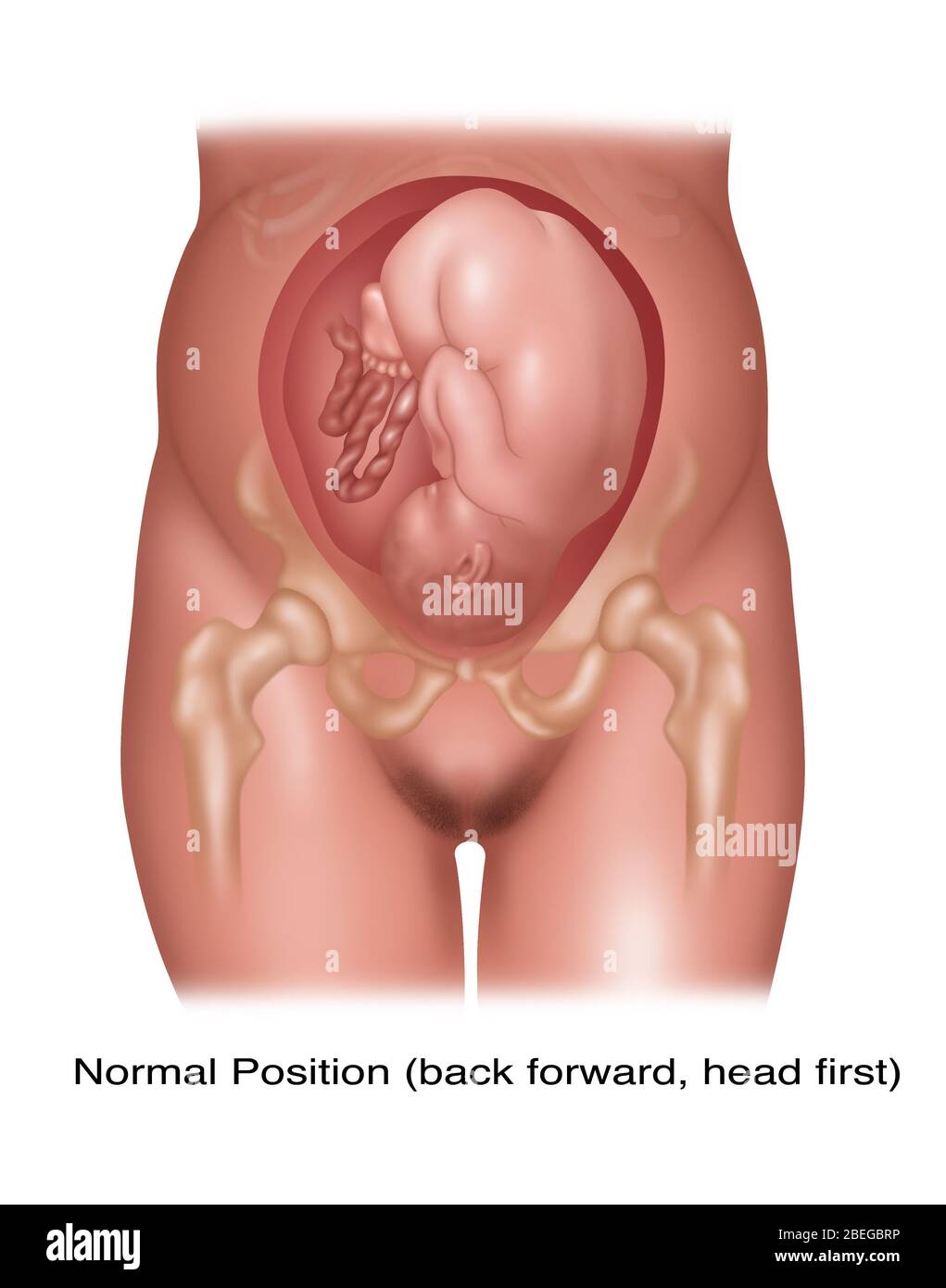 Fetal Position Baby High Resolution Stock Photography And Images Alamy