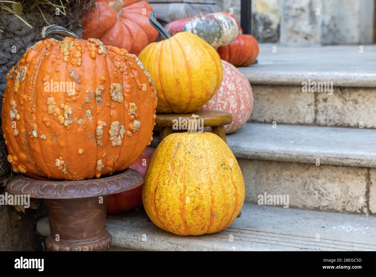 A display of autumn pumpkins on a staircase Stock Photo