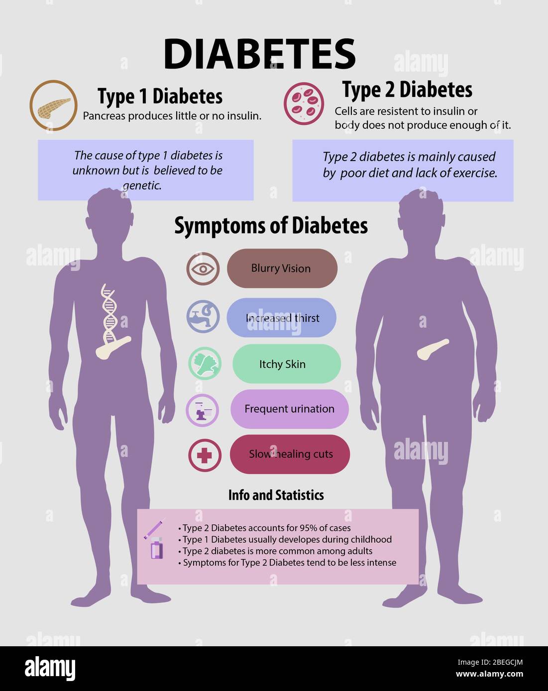 Infographic describing types of diabetes, their symptoms and other facts about the disease. Stock Photo
