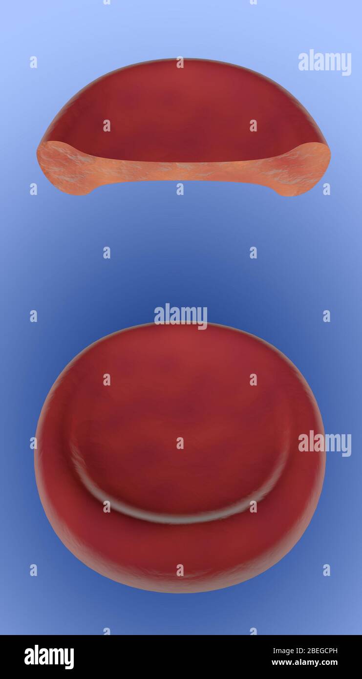 Red Blood Cell, 3D Illustration Stock Photo