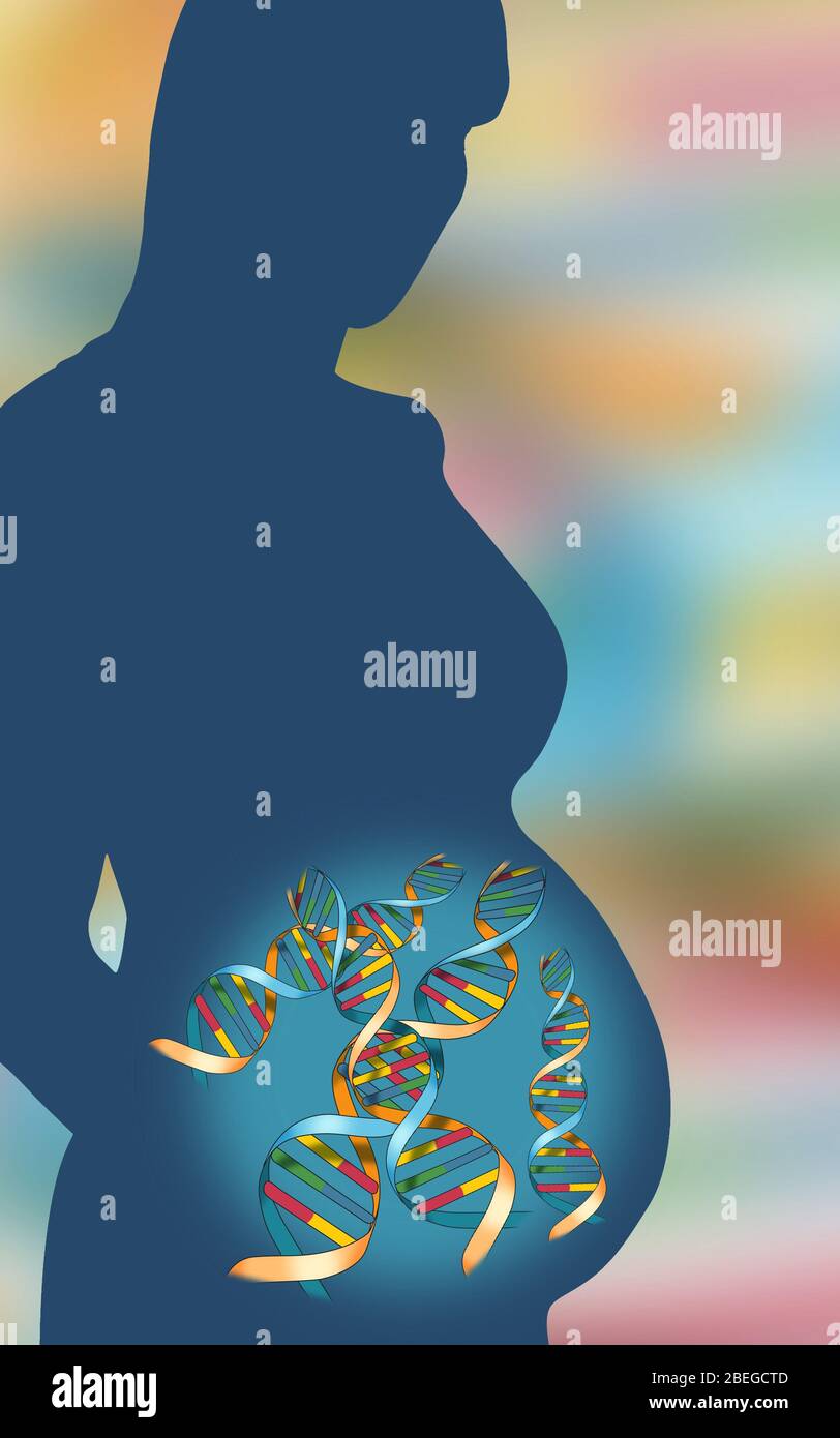 Pregnant Woman with DNA, Conceptual Illustration Stock Photo