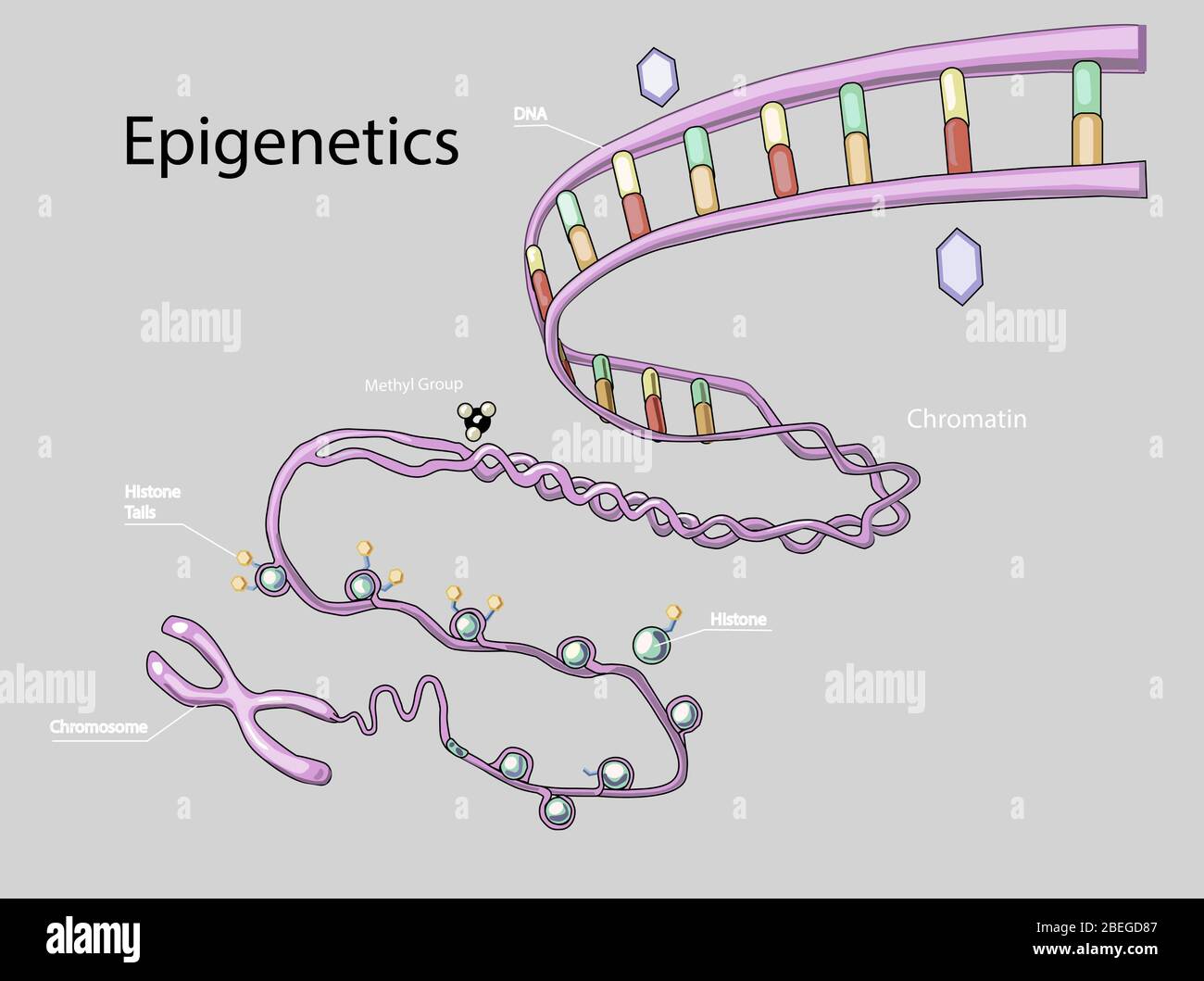 Illustration of Stock Photo Alamy