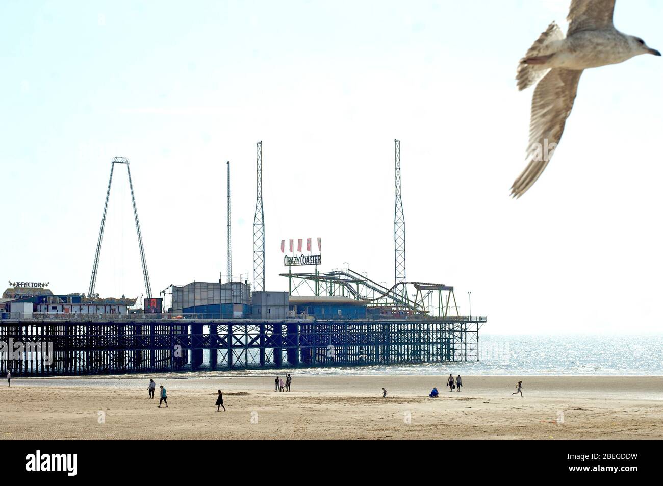 Seagull flies past South Pier and a quite beach and out of the frame on a sunny summer day in Blackpool Stock Photo