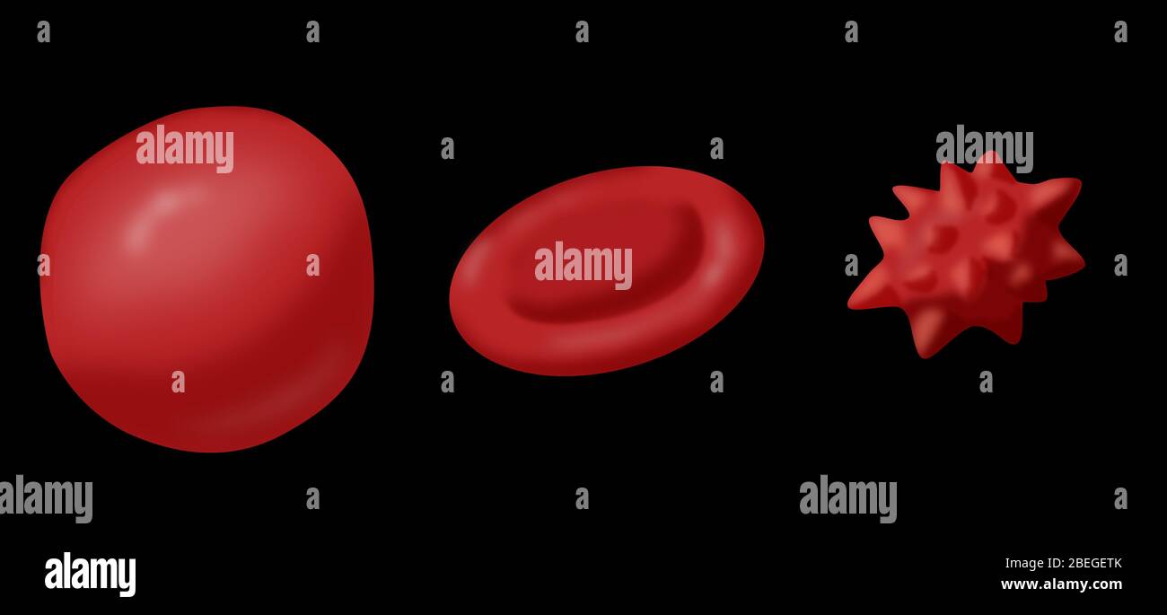 Red blood cell isotonic solution hires stock photography and images