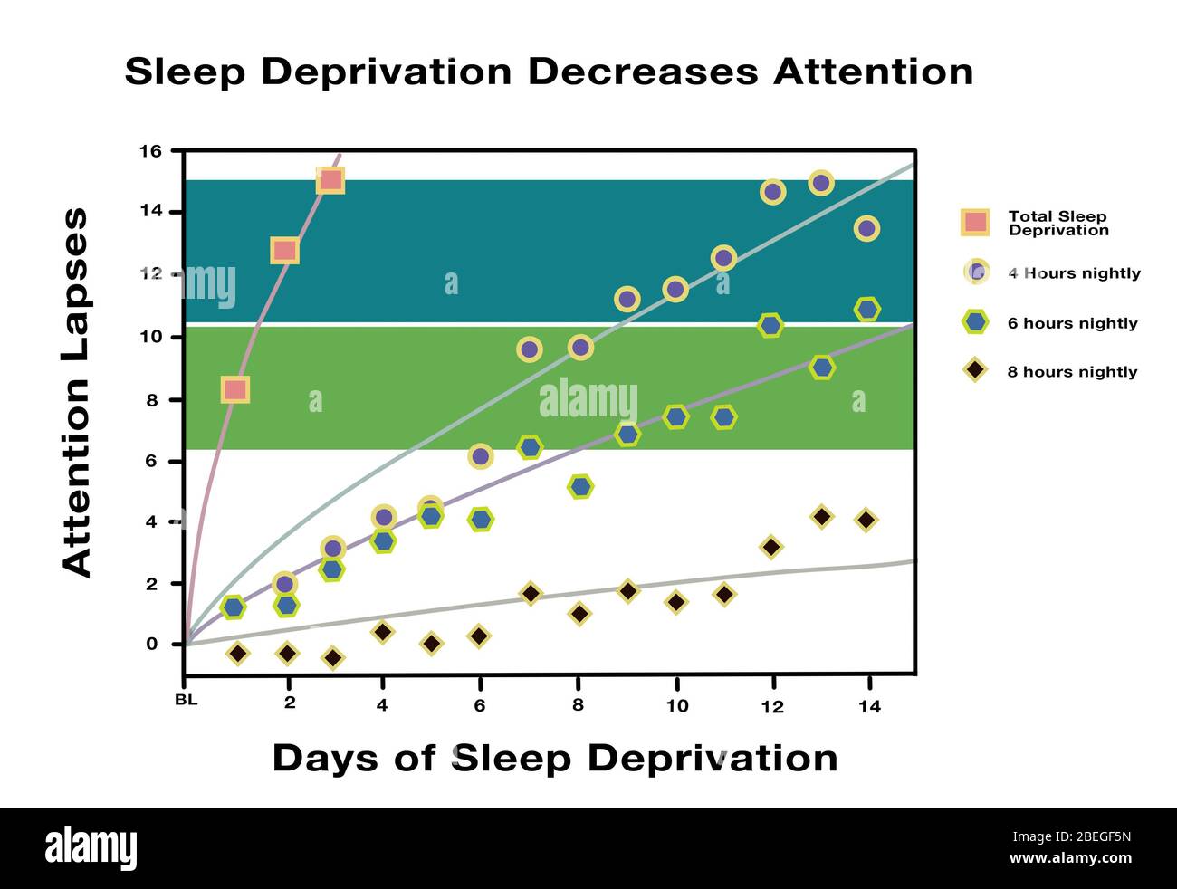 Sleep Deprivation Decreases Attention, Graph Stock Photo - Alamy