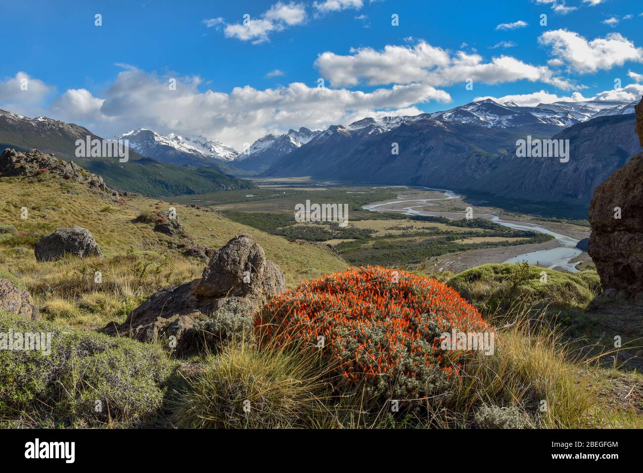 View from mirador rio de las vueltas towards the Andes mountains and the river in the valley, with a beautifully blossoming Anarthrophyllum desideratu Stock Photo