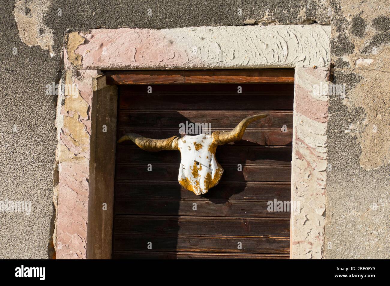Stier Schädel mit Hörnern hängt an einer Tür Stock Photo