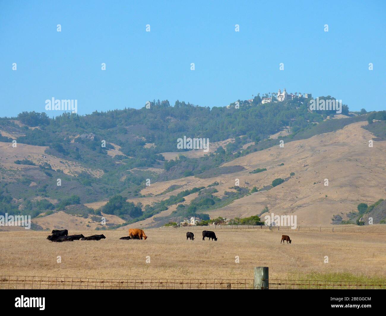 Sunny view of Hearst Castle's farm at San Simeon, California Stock Photo