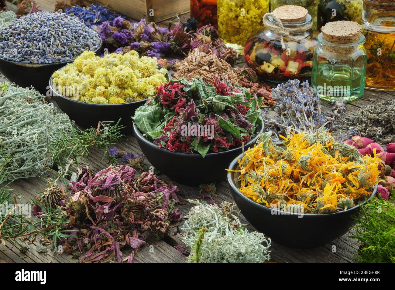 Bowls of dry medicinal herbs - lavender, cornflower coneflower, marigold, rose, Helichrysum flowers, healthy moss and lichen. Healing herbs assortment Stock Photo