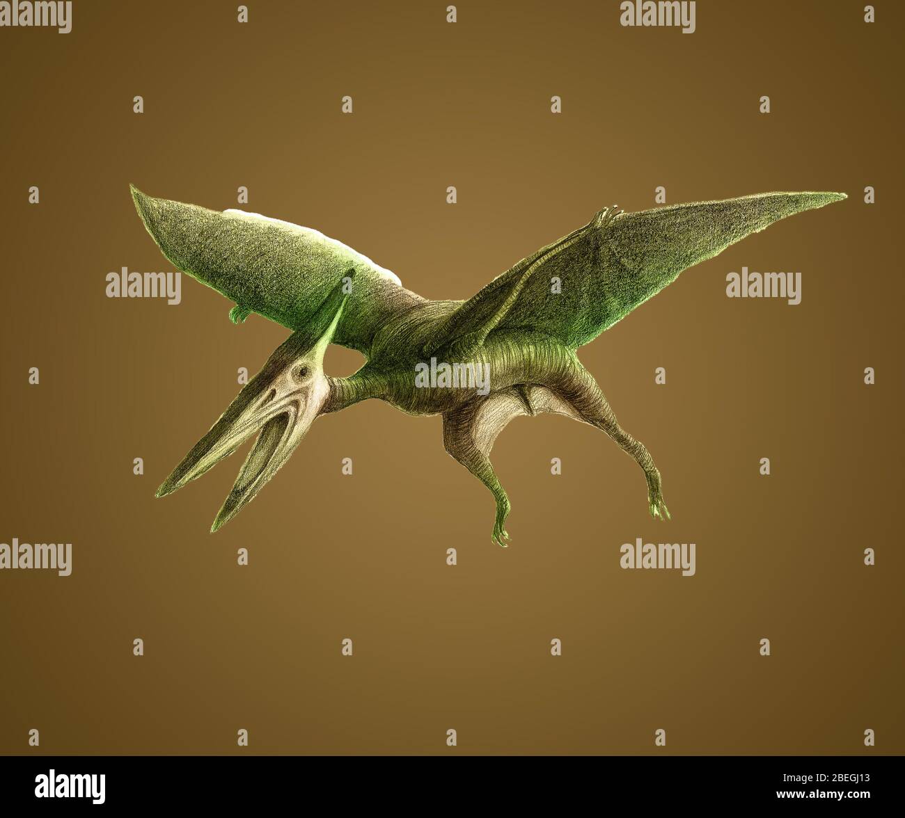 Cearadactylus (frightfull finger). Model of pterodactyl. Stock Photo by  ©troyka 11879305