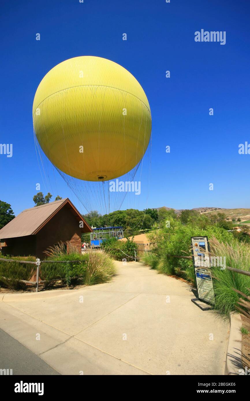 Sunny of the San Diego Zoo Safari Park at California Stock Photo Alamy