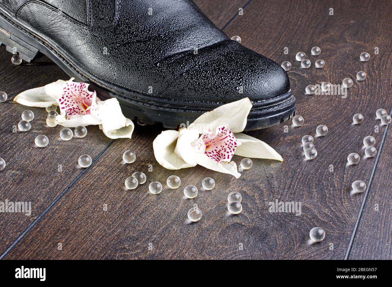 Broken feelings concept with two orchid flowers crashed by black shoe Stock Photo
