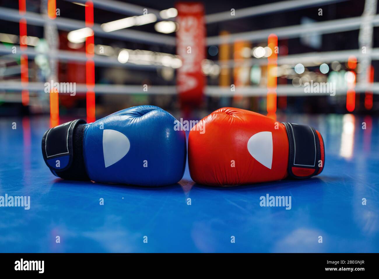 Pair of leather boxing gloves on ring, nobody Stock Photo Alamy