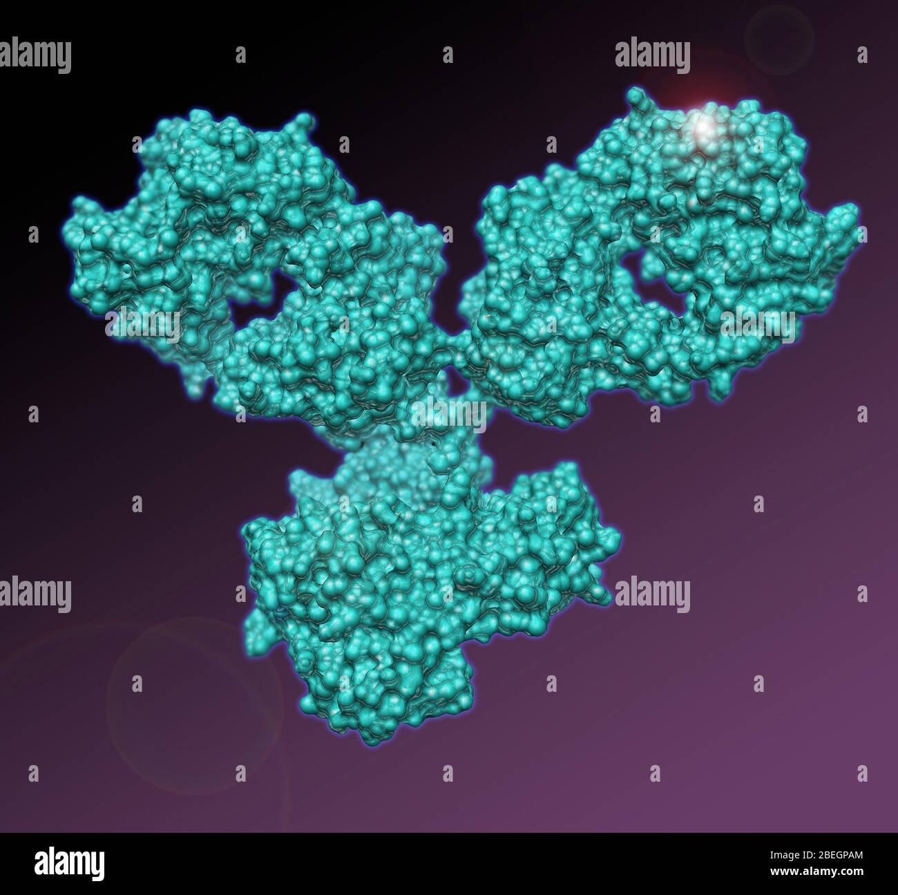 Monoclonal antibody hi-res stock photography and images - Alamy