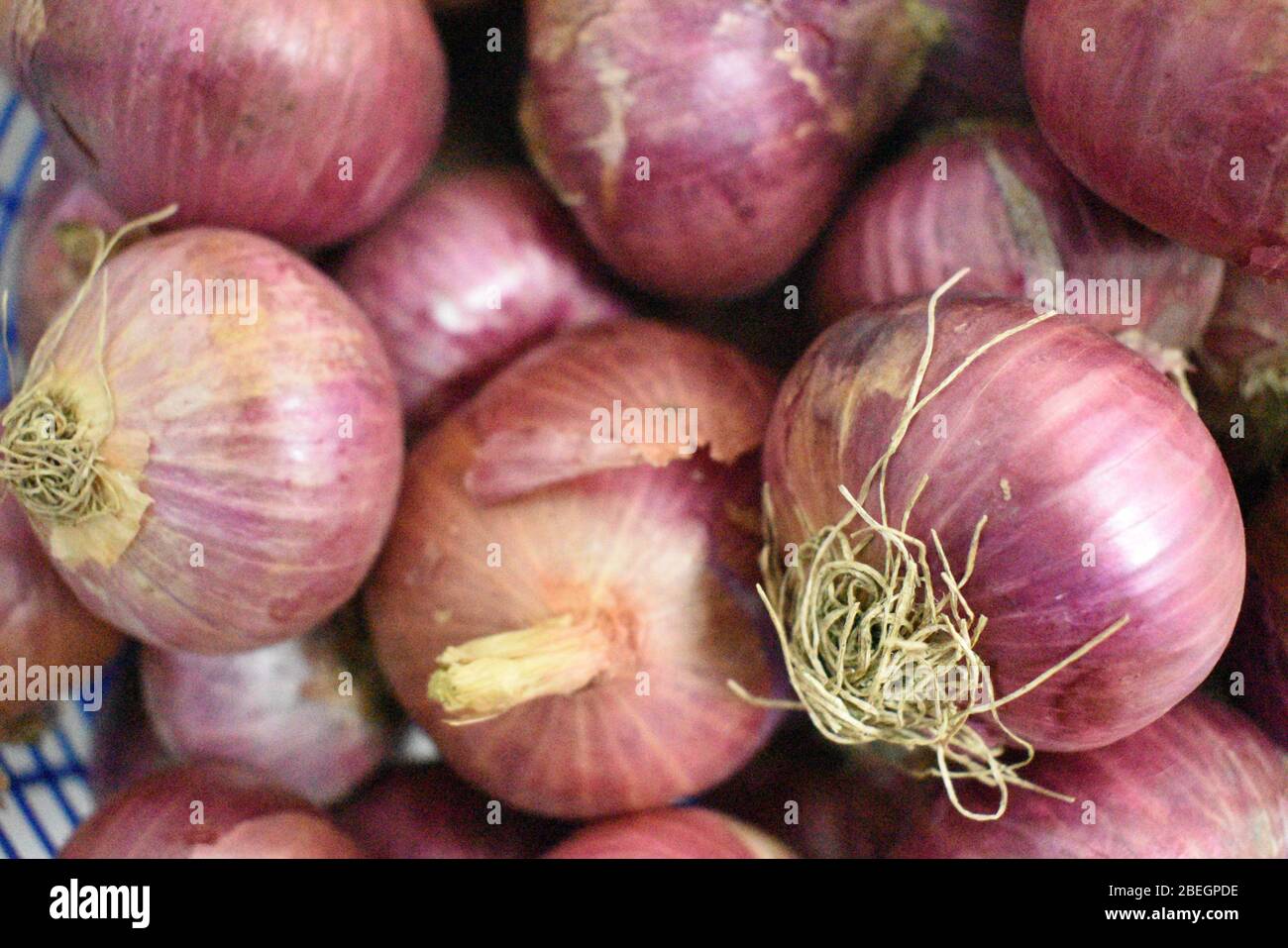 Abu dhabi oil farm hires stock photography and images Alamy