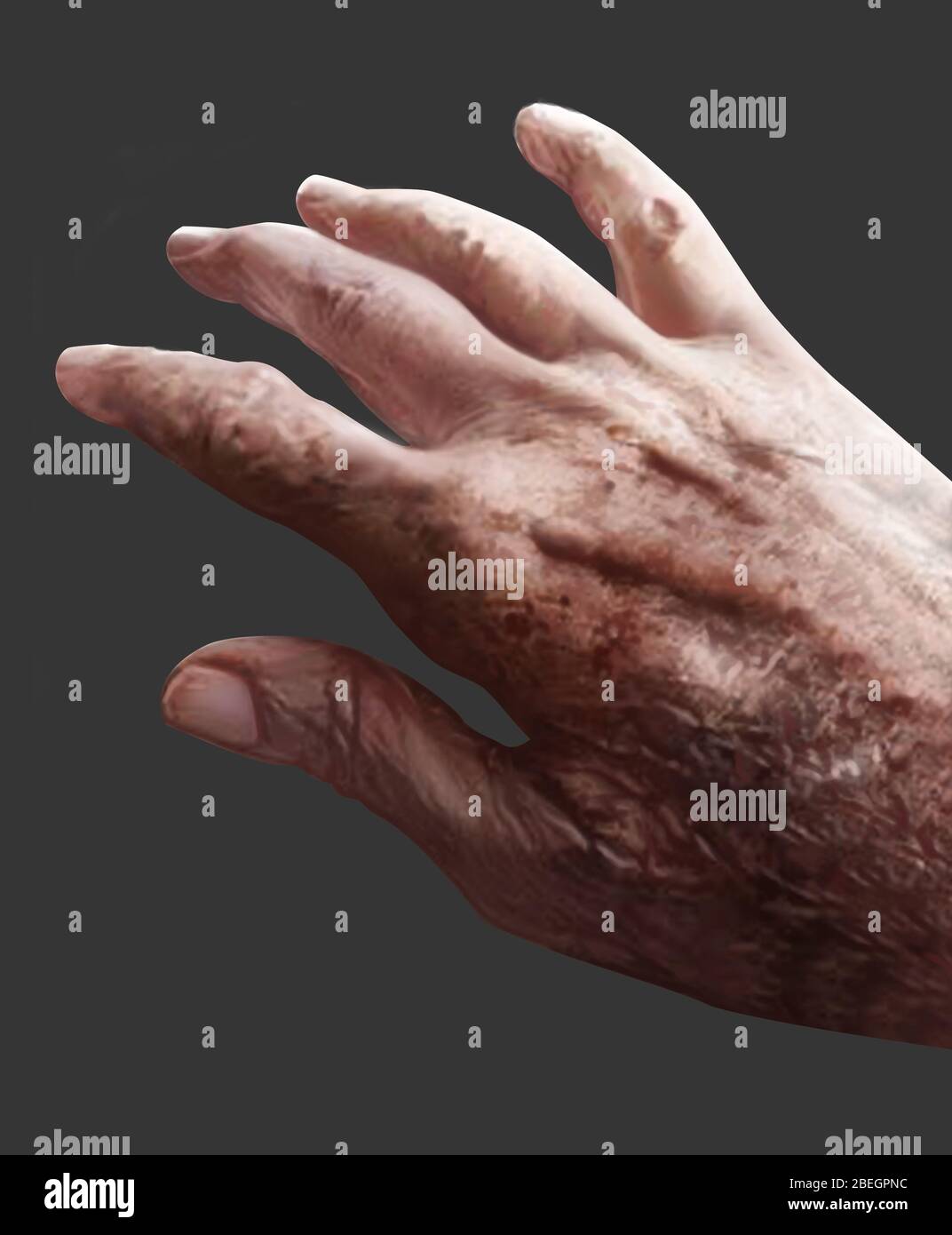 Hand Stock Photo