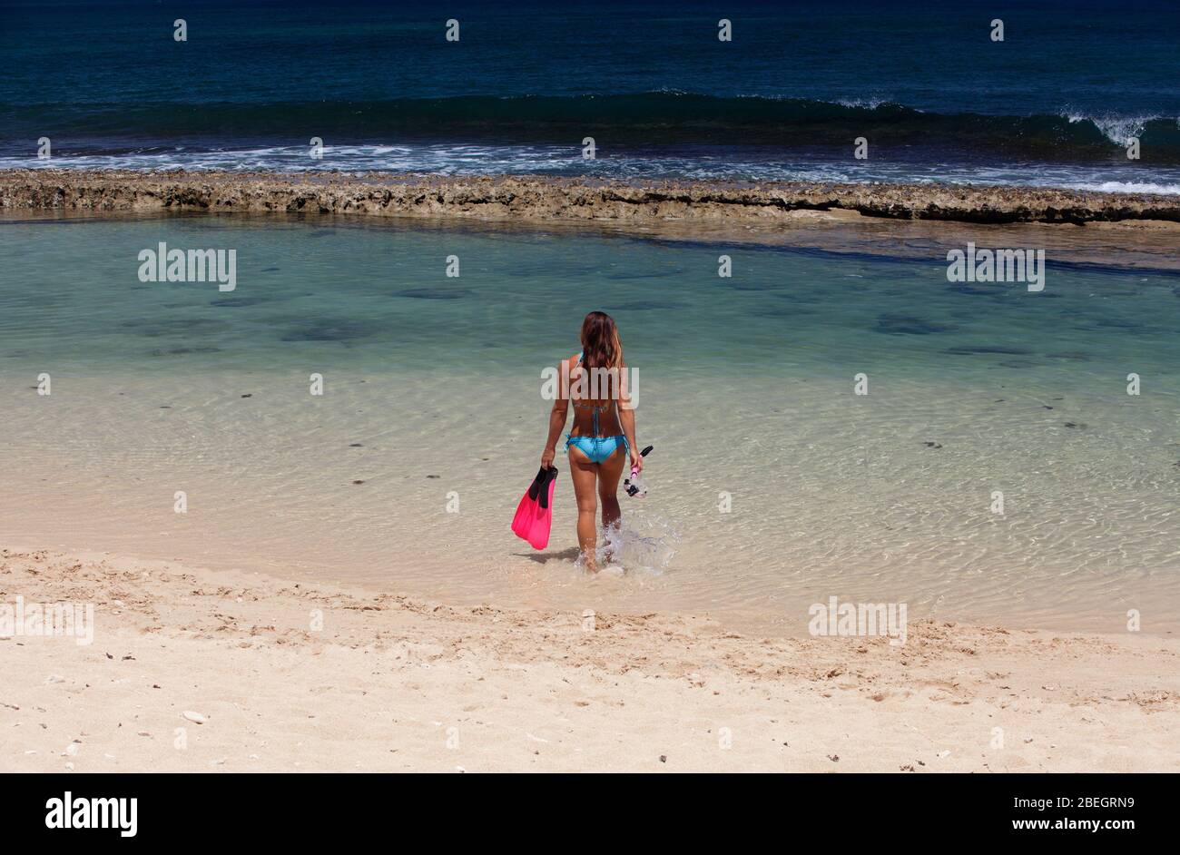 Snorkeling maui hires stock photography and images Alamy