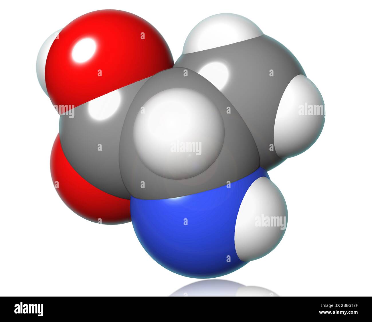 Alanine molecular model amino acid hi-res stock photography and images ...