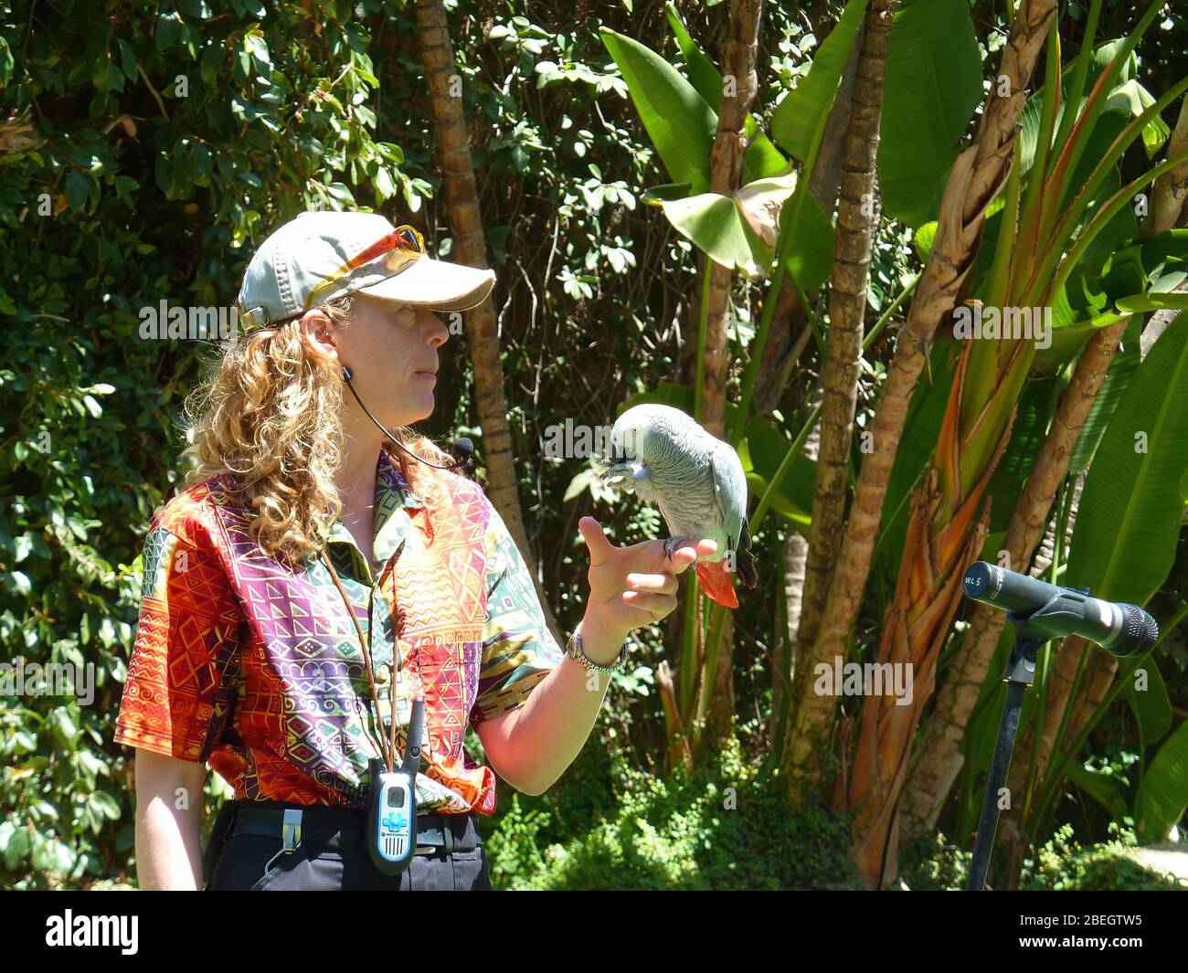 San Diego, AUG 18, 2009 - Gift shop of San Diego Zoo Safari Park Stock Photo