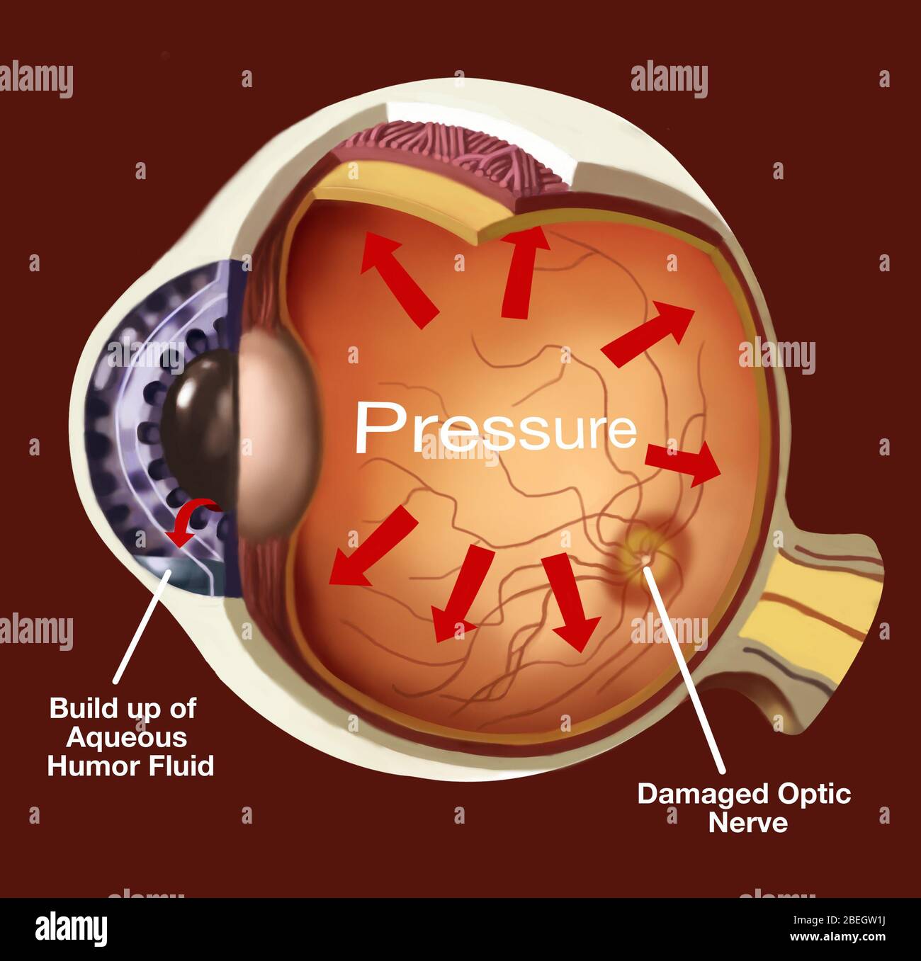 illustration hires stock photography and images Alamy