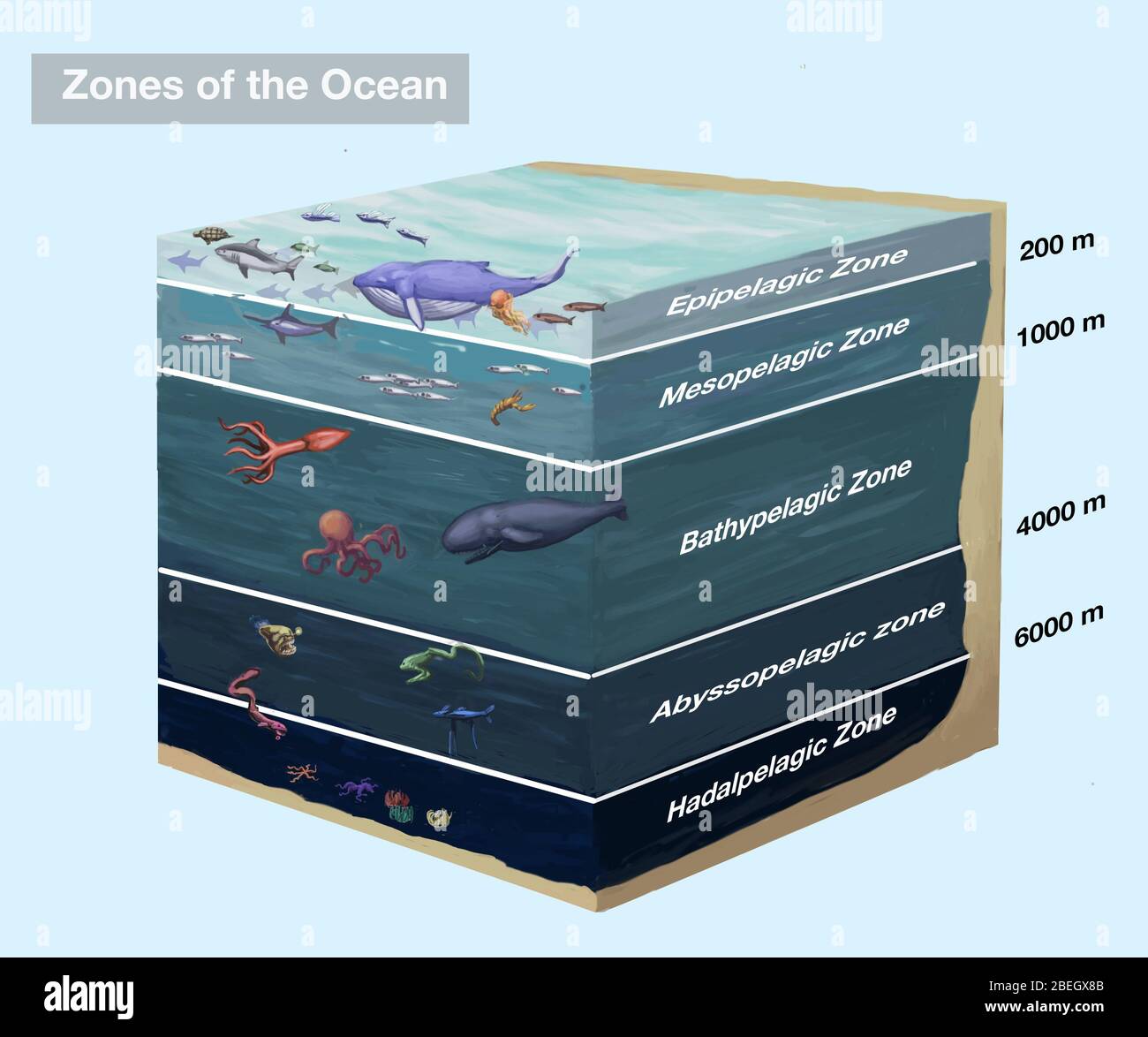 Zones of the Ocean Stock Photo