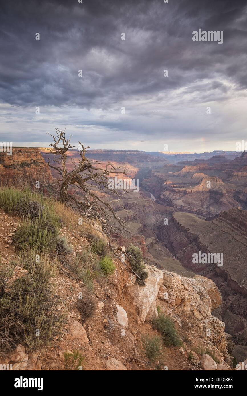 storm over grand canyon at mather point Stock Photo - Alamy