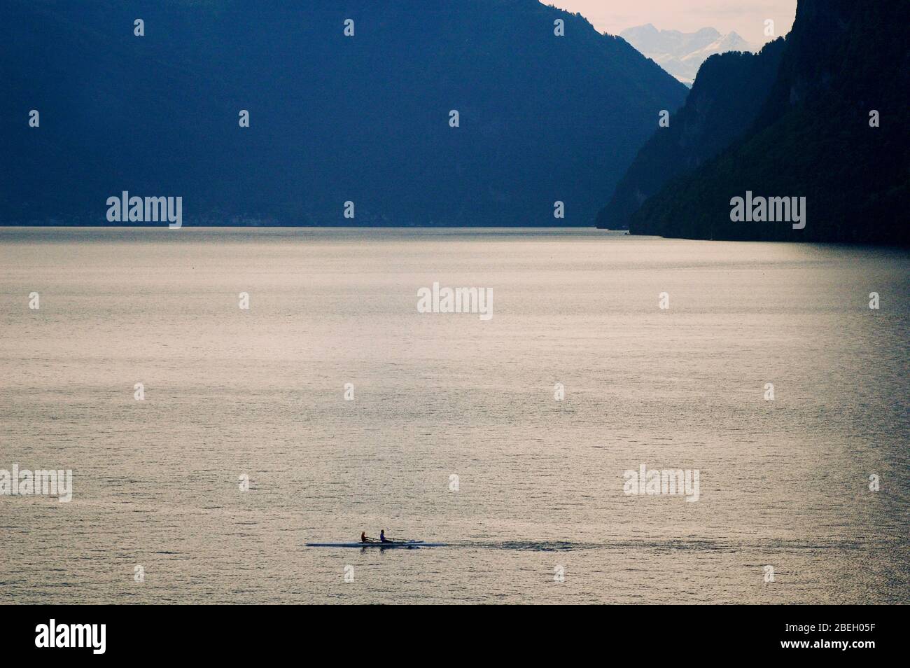 A pair of rowers glide through the calm waters of Lake Lucerne Stock Photo