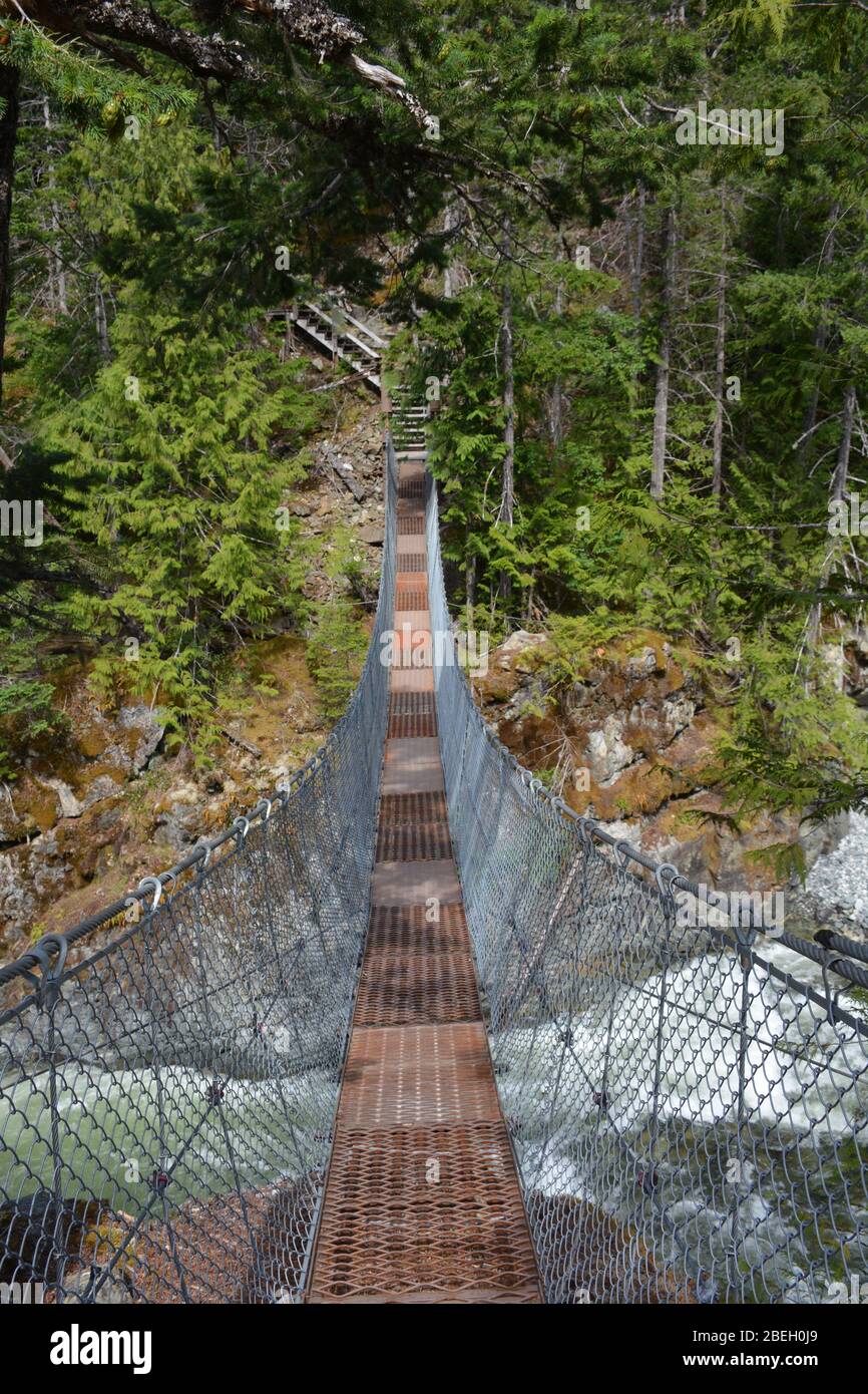 Hiking over a suspension bridge on the Burnt Bridge Loop Trail, Bella