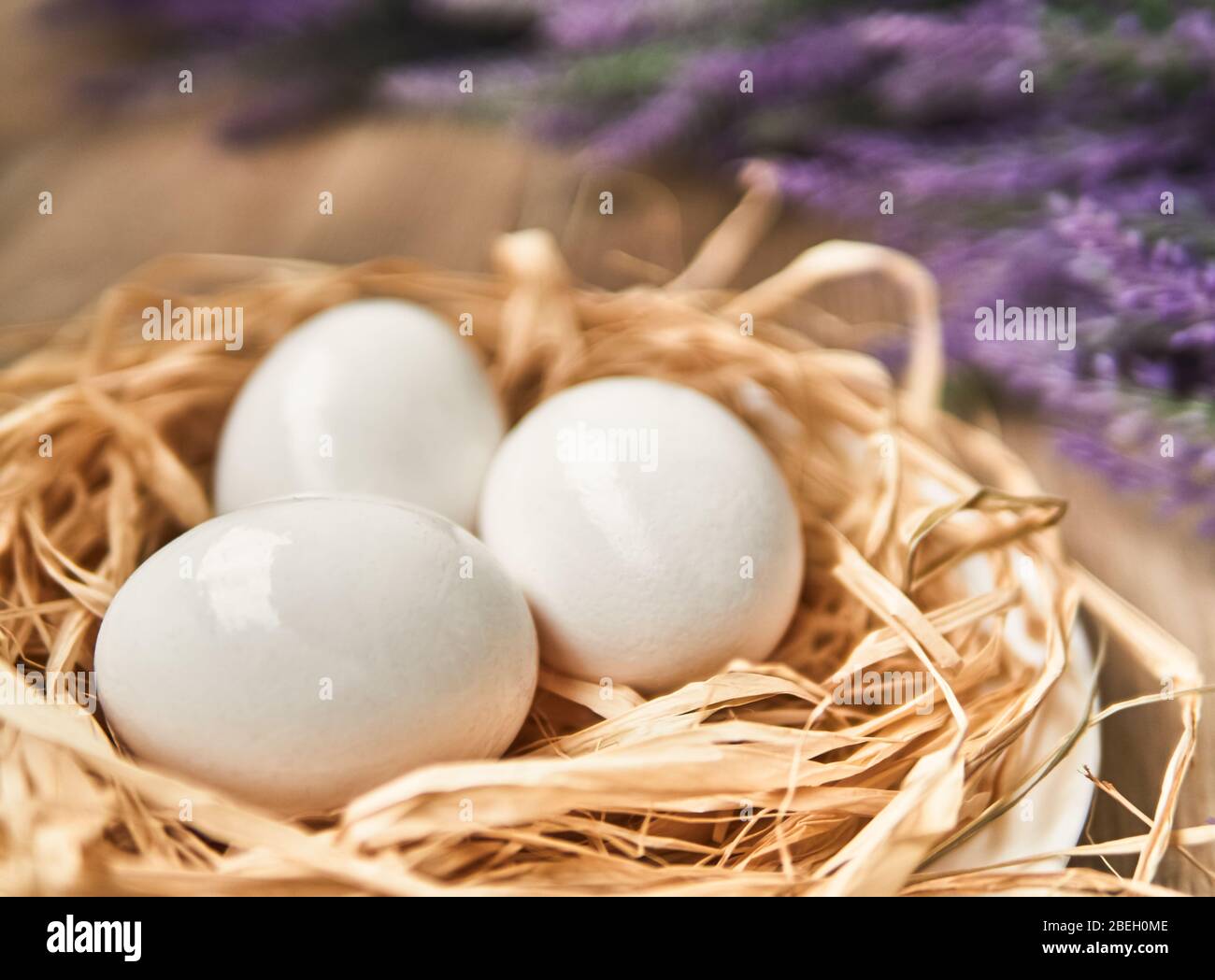 White Easter eggs in the nest. Happy Easter Concept. Congratulations Easter card. Stock Photo
